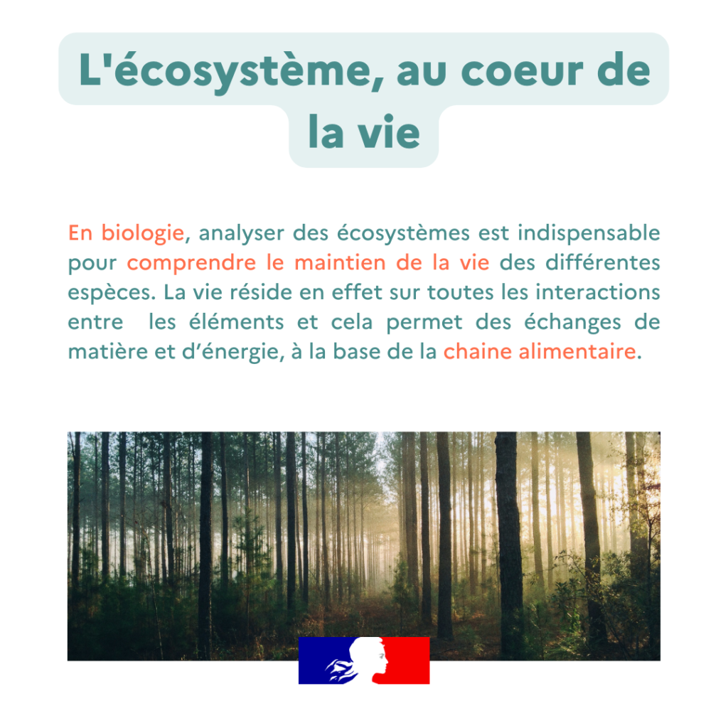 Glossaire ecosysteme