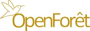 open foret