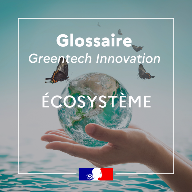 Glossaire ecosysteme