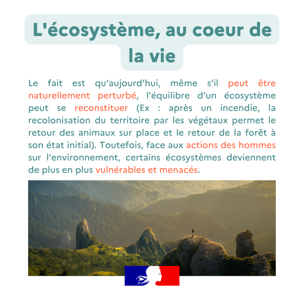 Glossaire ecosysteme