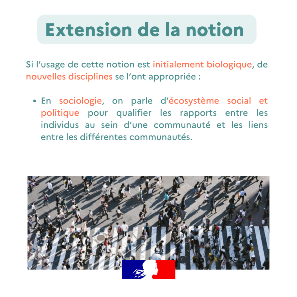 Glossaire ecosysteme