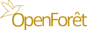 open forest